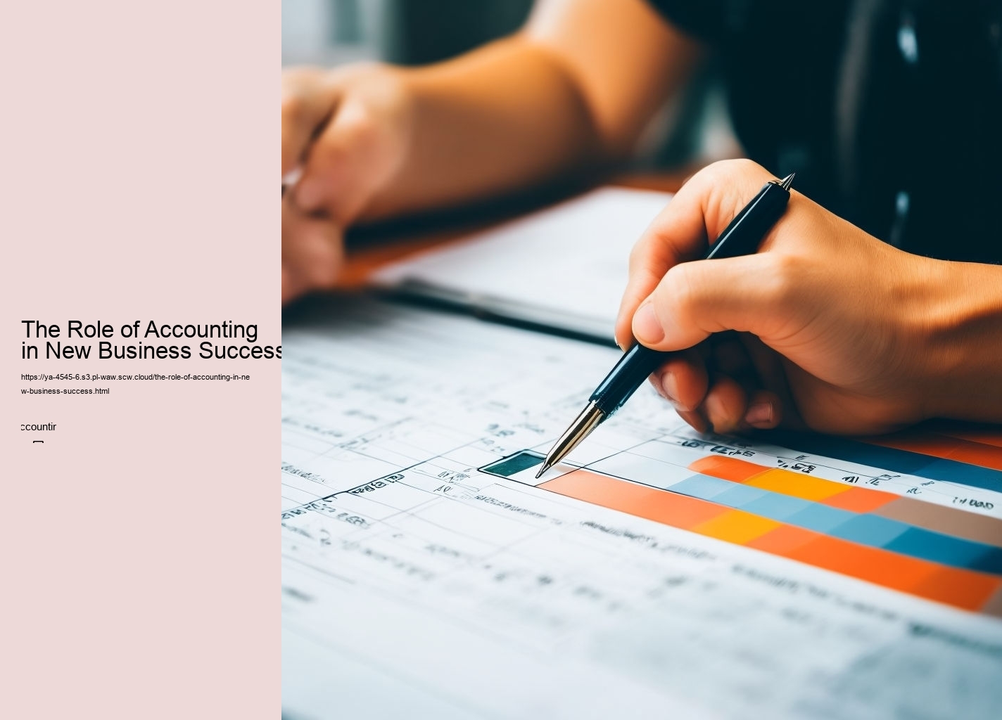 The Role of Accounting in New Business Success