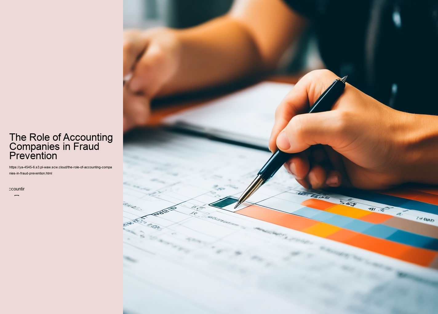 The Role of Accounting Companies in Fraud Prevention