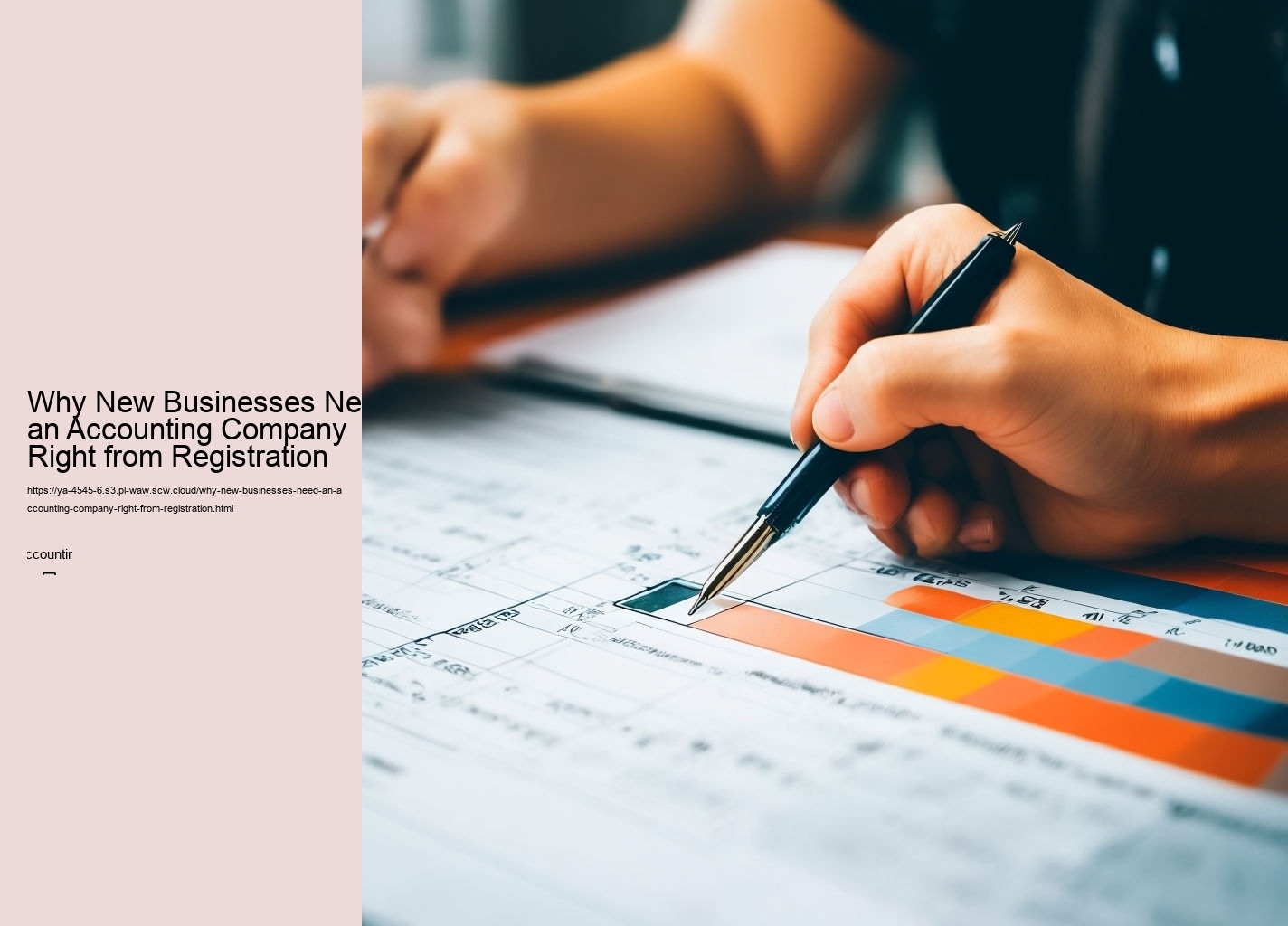 Why New Businesses Need an Accounting Company Right from Registration